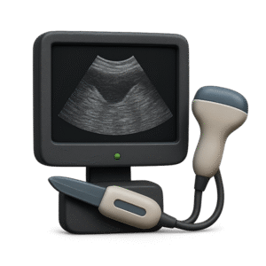 USG Radom – RadVet Przychodnia Weterynaryjna USG zwierząt – diagnostyka obrazowa RadVet Radom