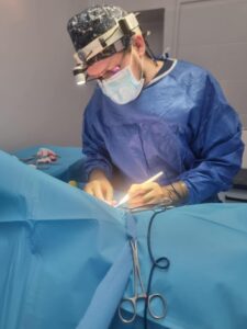 nagły przypadek – weterynarz RadVet Radom